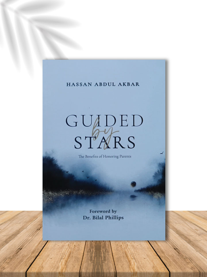 GUIDED BY STARS cover